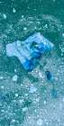 Alaska shattered icebergs floating near calving face of LeConte Glacier east of Petersburg Art Print